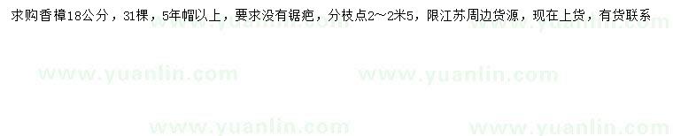 求購18公分香樟