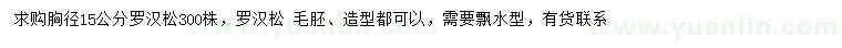 求購胸徑15公分羅漢松