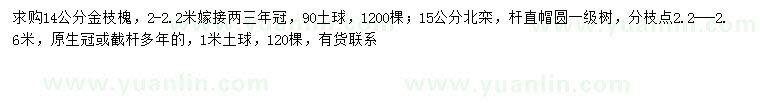 求購14公分金枝槐、15公分北欒