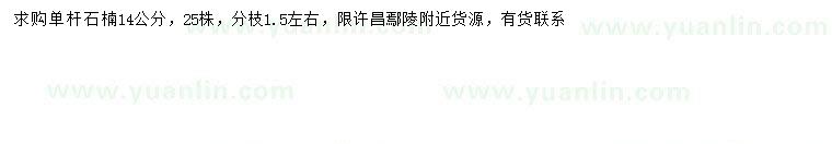 求購14公分石楠