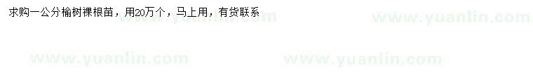 求購1公分榆樹