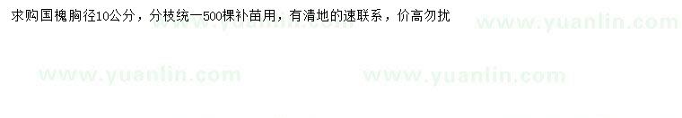 求購胸徑10公分國槐
