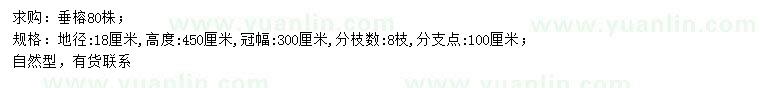 求購地徑18公分垂榕