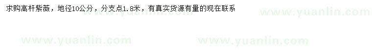 求購地徑10公分高桿紫薇