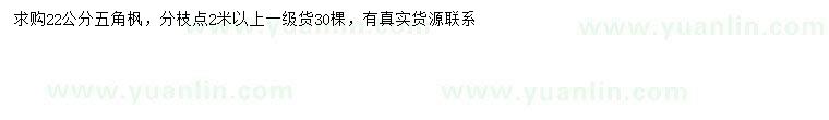 求購22公分五角楓