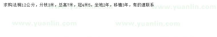 求購12公分法桐