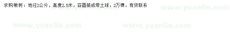 求購地徑2公分楸樹