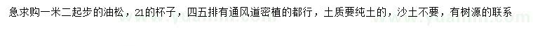 求購1.2米以上油松