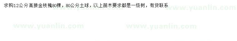 求購(gòu)12公分高接金枝槐