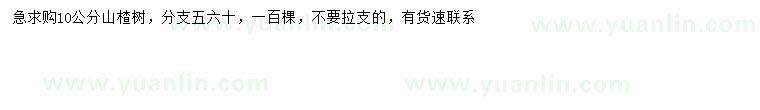 求購(gòu)10公分山楂樹