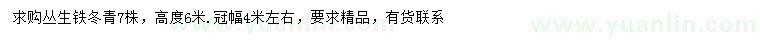 求購(gòu)冠幅4米左右叢生鐵冬青