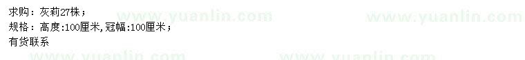 求購(gòu)高100公分灰莉