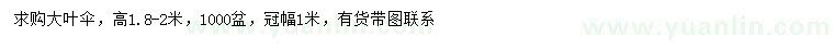 求購(gòu)高1.8-2米大葉傘