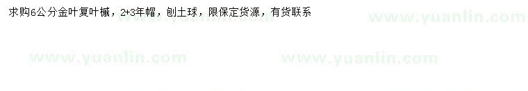 求購6公分金葉復(fù)葉槭