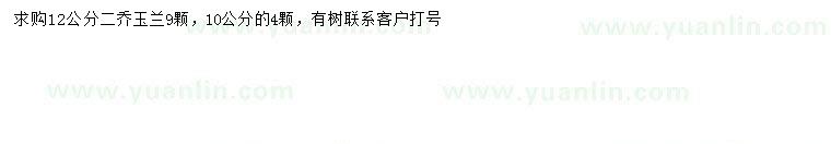 求購10、12公分二喬玉蘭