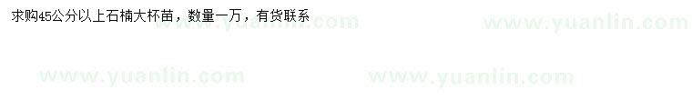 求購(gòu)45公分以上石楠