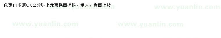 求購0.6公分以上元寶楓