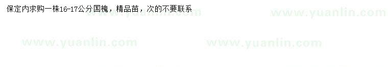 求購16-17公分國槐