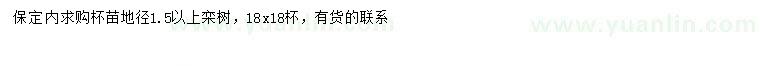 求購地徑1.5以上欒樹(shù)