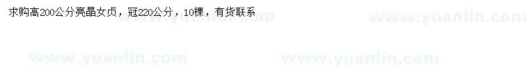求購高200公分亮晶女貞