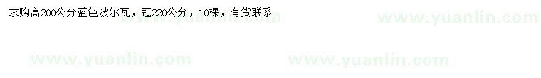 求購高200公分藍色波爾瓦