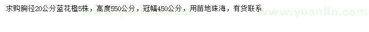求購胸徑20公分藍花楹