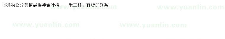 求購4公分金葉榆