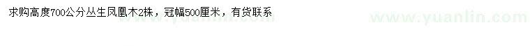求購高700公分叢生鳳凰木