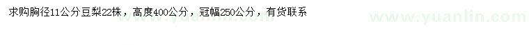求購胸徑11公分豆梨