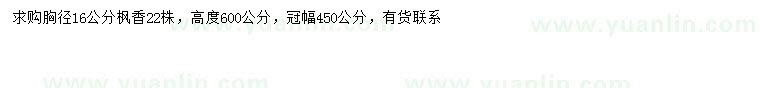 求購胸徑16公分楓香