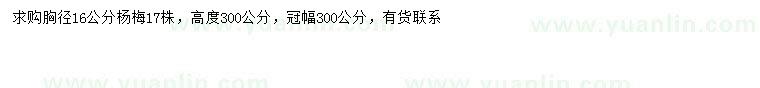 求購胸徑16公分楊梅