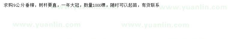 求購(gòu)9公分垂柳