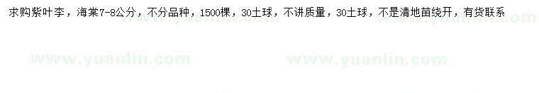 求購7-8公分紫葉李、海棠