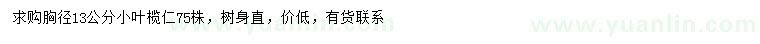 求購胸徑13公分小葉欖仁