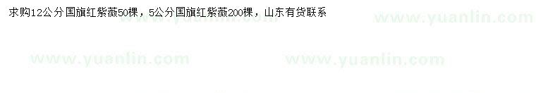 求購(gòu)5、12公分國(guó)旗紅紫薇