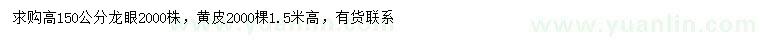 求購高150公分龍眼、黃皮