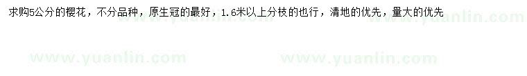 求購5公分櫻花