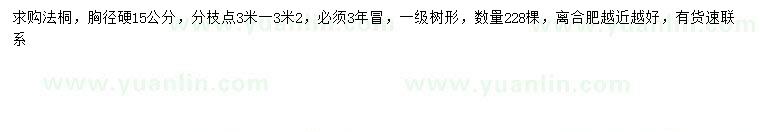求購胸徑15公分法桐