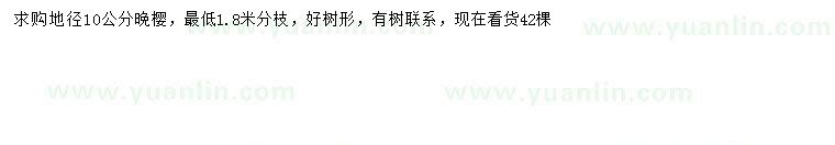 求購(gòu)地徑10公分晚櫻