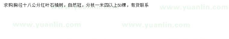 求購(gòu)胸徑18公分紅葉石楠