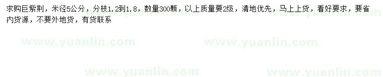 求購米徑5公分巨紫荊