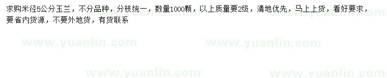求購米徑5公分玉蘭
