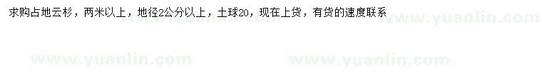 求購地徑2公分以上云杉