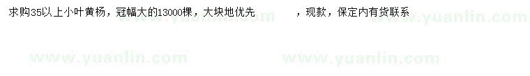 求購(gòu)35公分以上小葉黃楊