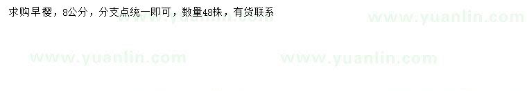求購(gòu)8公分早櫻