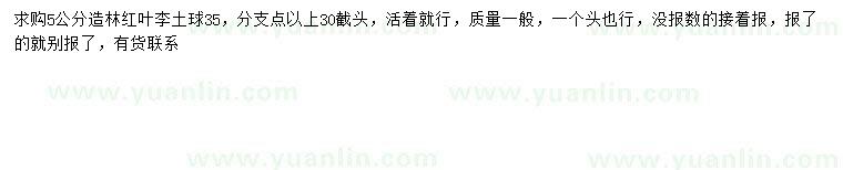求購(gòu)5公分紅葉李