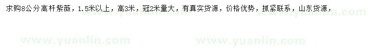 求購(gòu)8公分高桿紫薇
