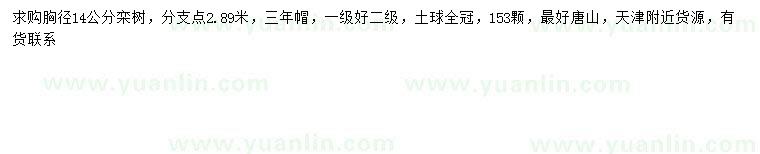 求購胸徑14公分欒樹