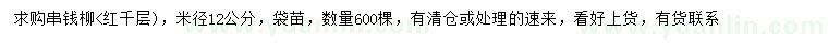 求購米徑12公分串錢柳