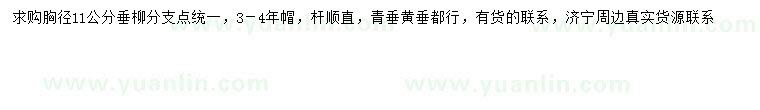 求購胸徑11公分垂柳